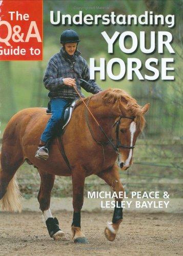 The Q&A guide to : understanding your horse /