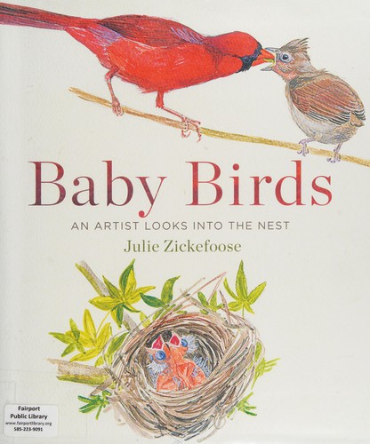 Baby birds : an artist looks into the nest /